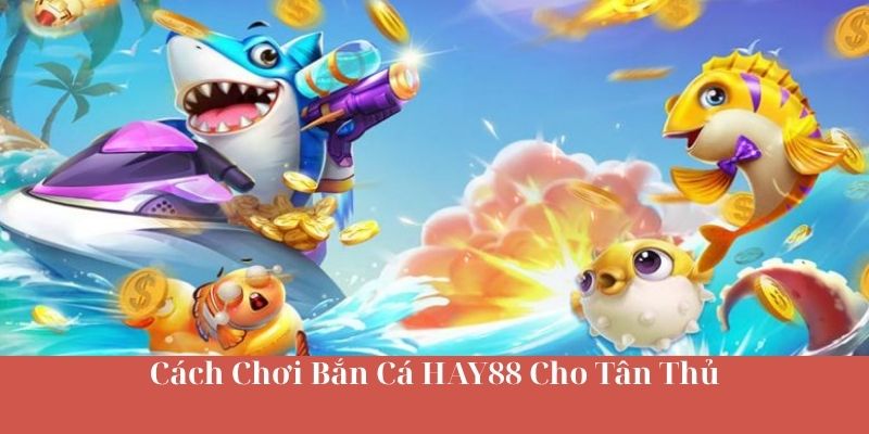 Cách Chơi Bắn Cá HAY88 Cho Tân Thủ