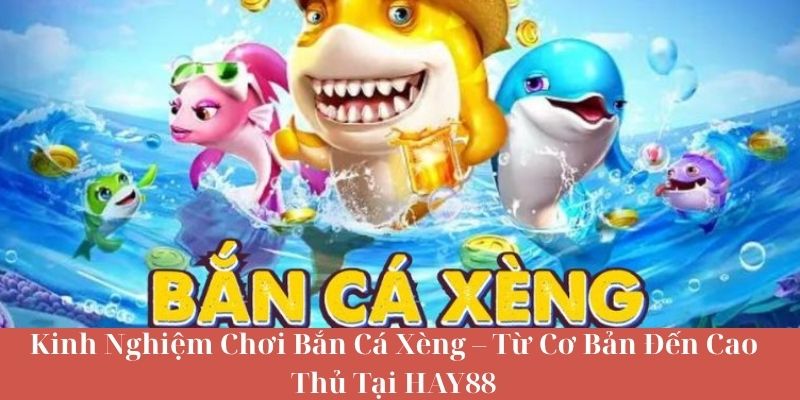 Kinh Nghiệm Chơi Bắn Cá Xèng – Từ Cơ Bản Đến Cao Thủ