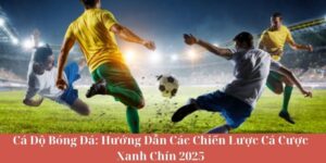 Cá Độ Bóng Đá - Hướng Dẫn Các Chiến Lược Cá Cược Xanh Chín 2025