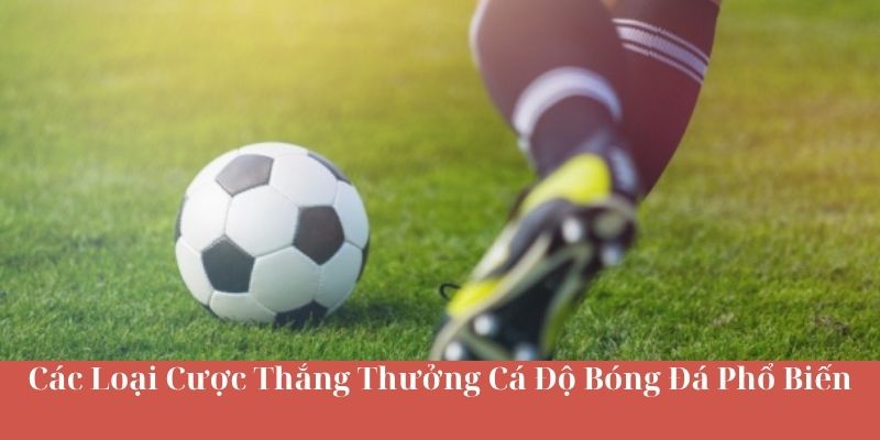 Các Loại Cược Thắng Thưởng Cá Độ Bóng Đá Phổ Biến