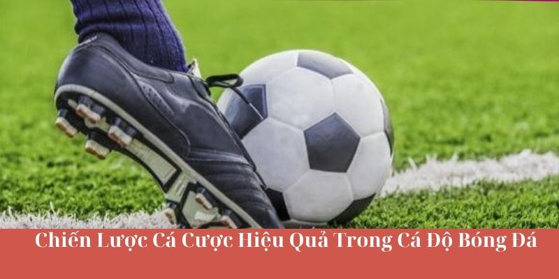Chiến Lược Cá Cược Hiệu Quả Trong Cá Độ Bóng Đá