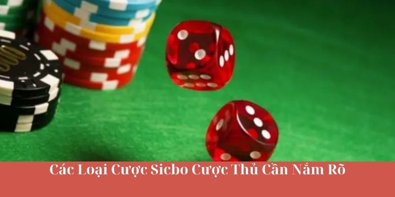 Các Loại Cược Sicbo Cược Thủ Cần Nắm Rõ