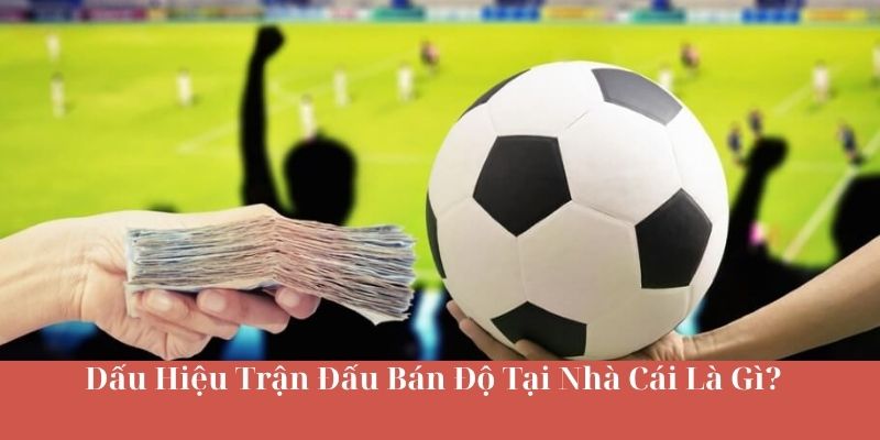 Dấu Hiệu Trận Đấu Bán Độ Tại Nhà Cái Là Gì?