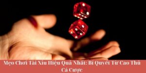 Mẹo Chơi Tài Xỉu Hiệu Quả Nhất - Bí Quyết Từ Cao Thủ Cá Cược