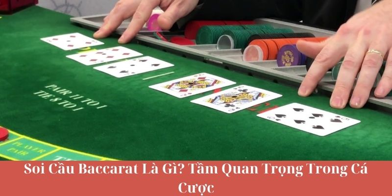 Soi Cầu Baccarat Là Gì? Tầm Quan Trọng Trong Cá Cược