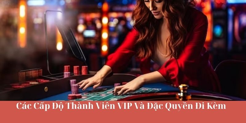 Các Cấp Độ Thành Viên VIP Và Đặc Quyền Đi Kèm
